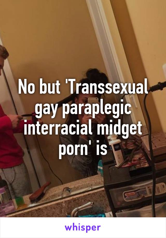 No but 'Transsexual gay paraplegic interracial midget porn' is
