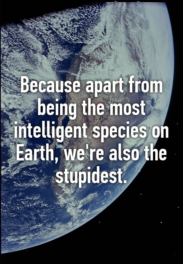 because-apart-from-being-the-most-intelligent-species-on-earth-we-re