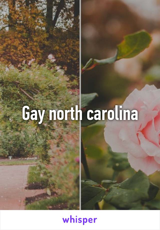 Gay north carolina