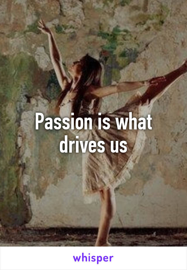 Passion is what drives us