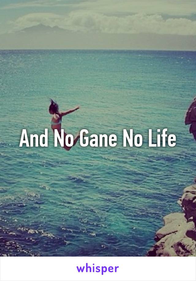 And No Gane No Life