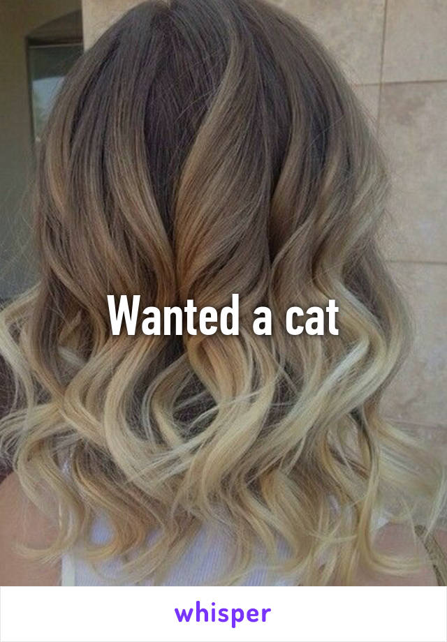 Wanted a cat