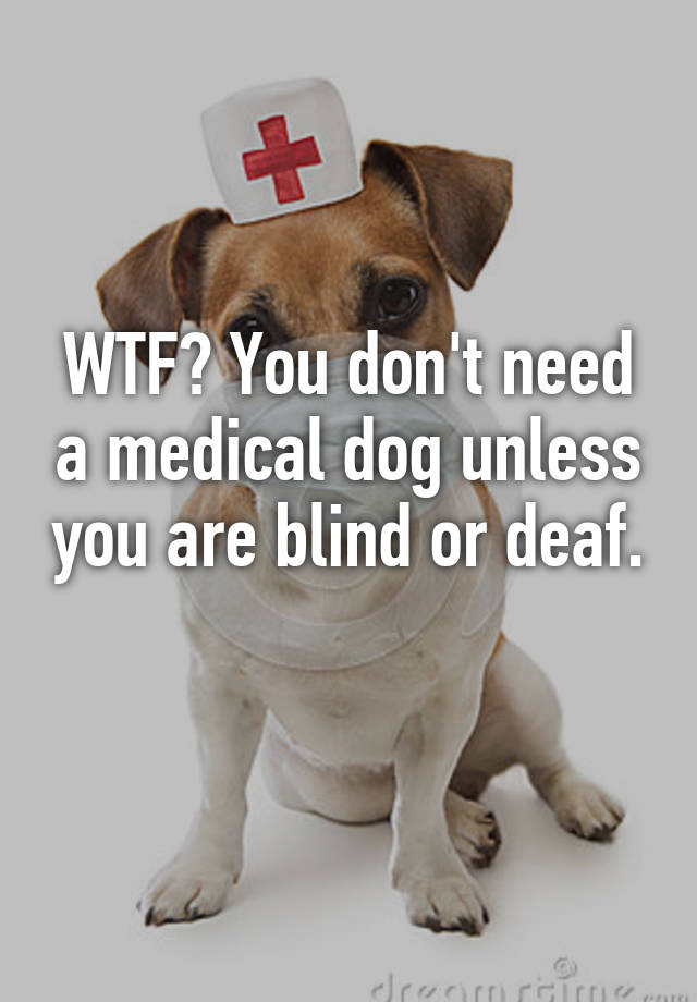 wtf-you-don-t-need-a-medical-dog-unless-you-are-blind-or-deaf