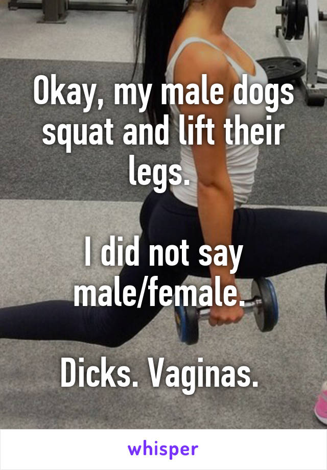 Okay, my male dogs squat and lift their legs. 

I did not say male/female. 

Dicks. Vaginas. 