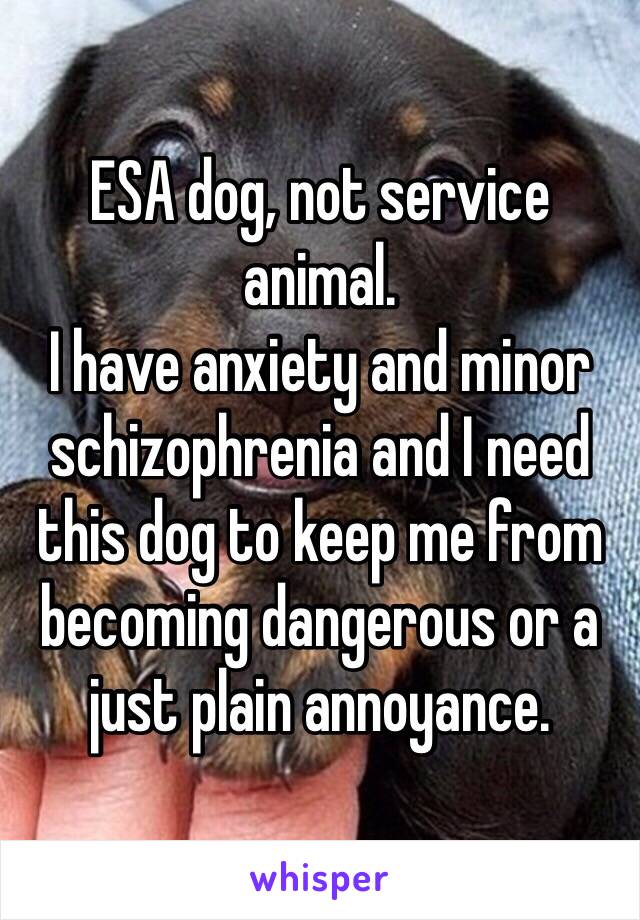 ESA dog, not service animal.
I have anxiety and minor schizophrenia and I need this dog to keep me from becoming dangerous or a just plain annoyance.