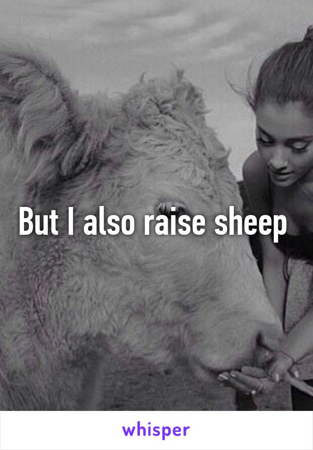 But I also raise sheep 
