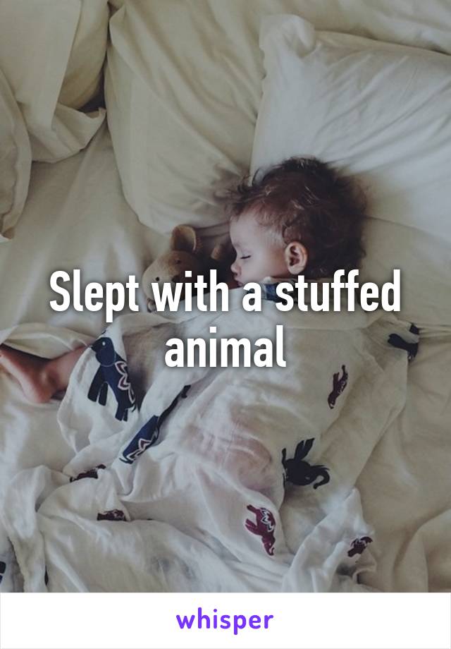 Slept with a stuffed animal