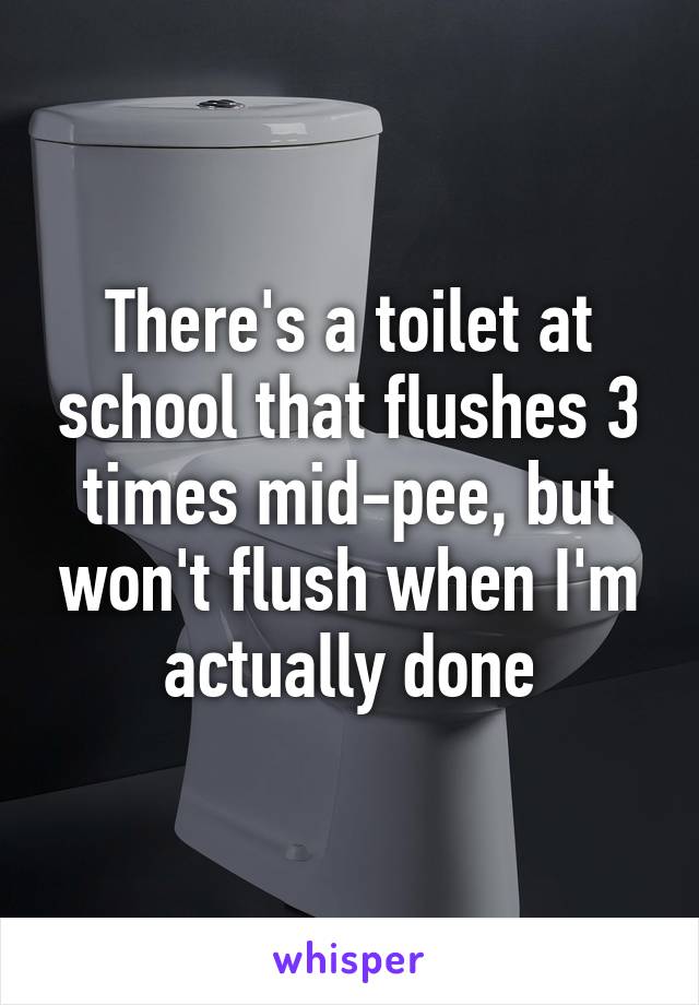 There's a toilet at school that flushes 3 times mid-pee, but won't flush when I'm actually done