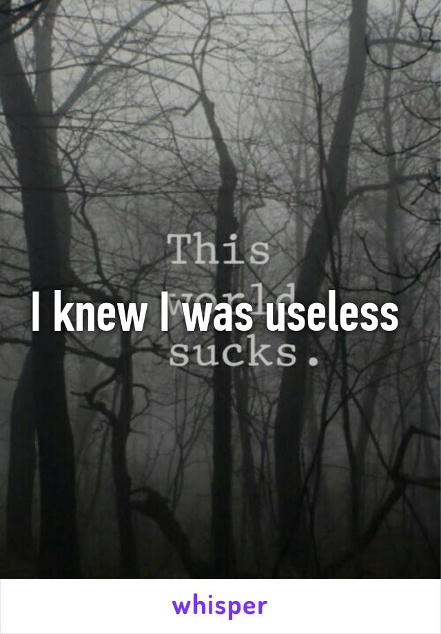 I knew I was useless 