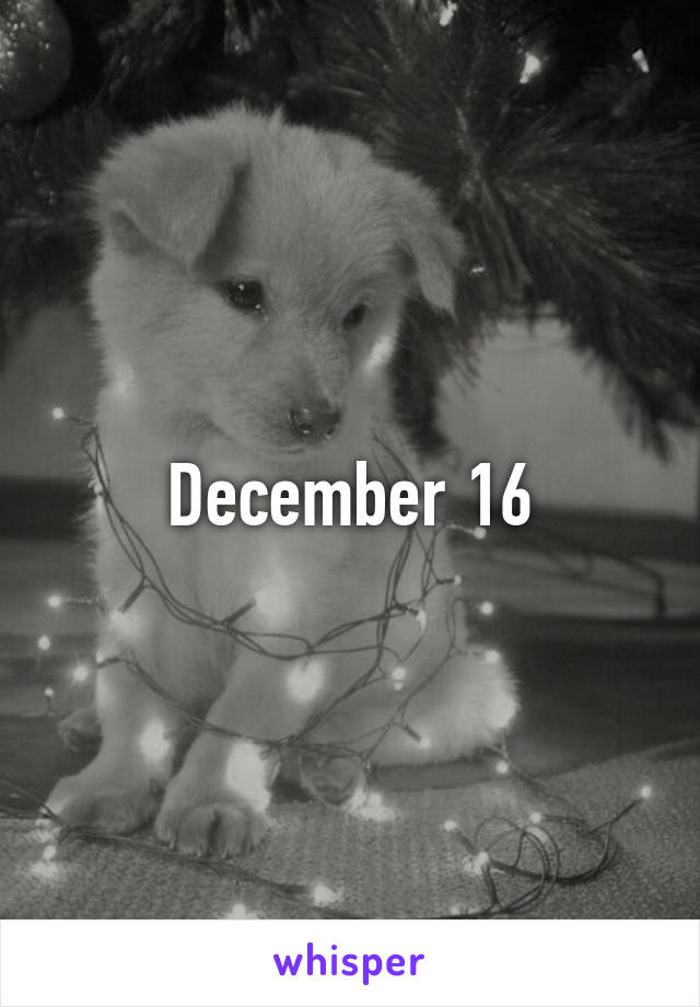 December 16
