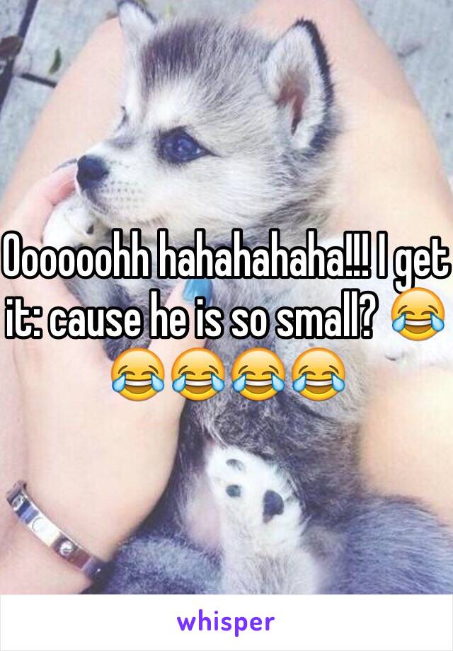 Oooooohh hahahahaha!!! I get it: cause he is so small? 😂😂😂😂😂