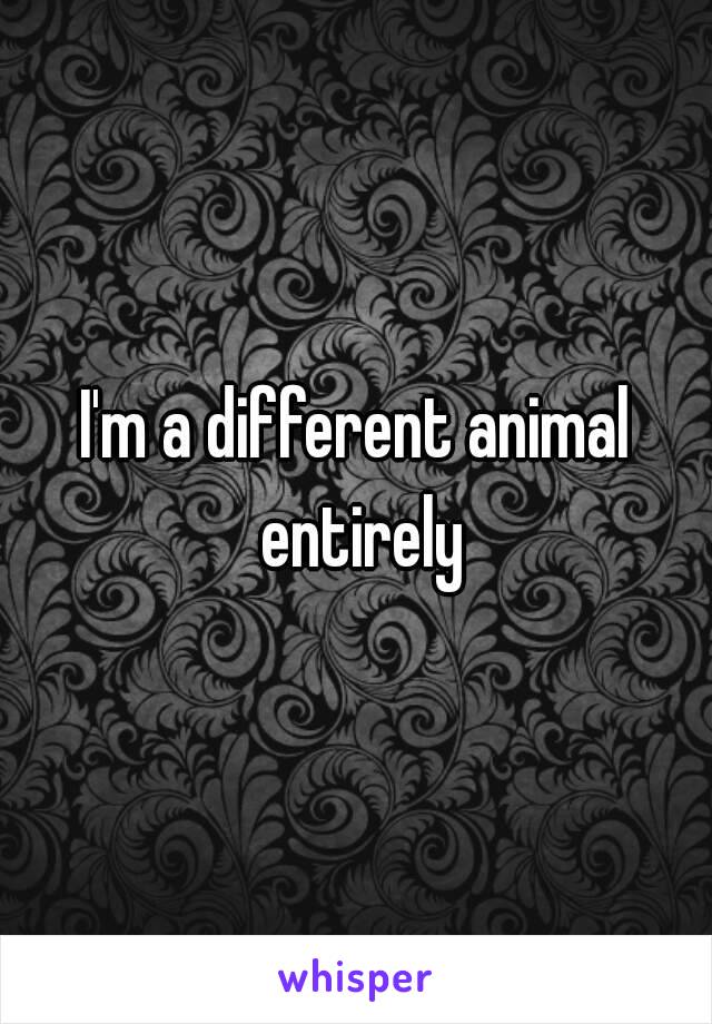 I'm a different animal entirely