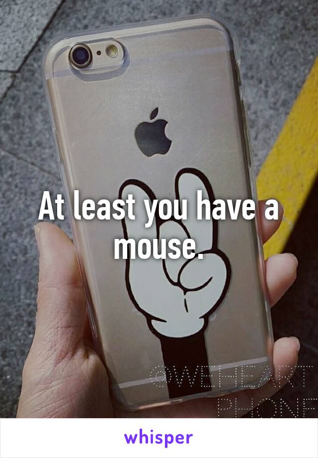 At least you have a mouse.