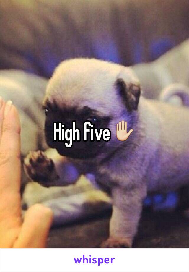 High five✋