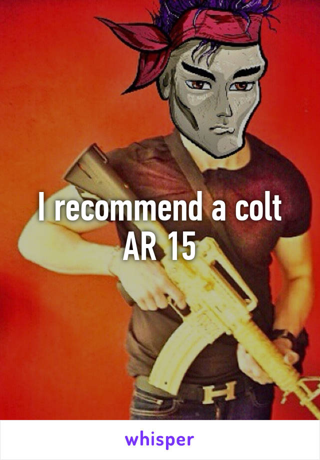 I recommend a colt AR 15