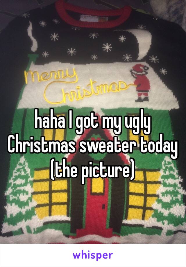 haha I got my ugly Christmas sweater today
(the picture)