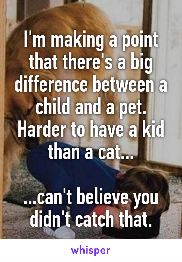 I'm making a point that there's a big difference between a child and a pet. Harder to have a kid than a cat...

...can't believe you didn't catch that.