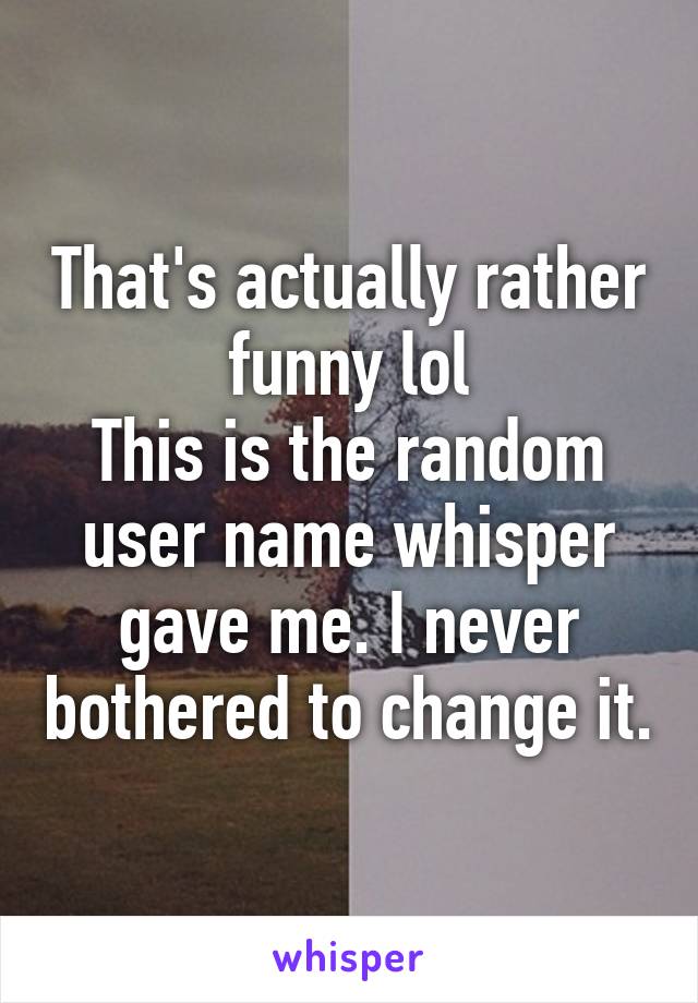 That's actually rather funny lol
This is the random user name whisper gave me. I never bothered to change it.