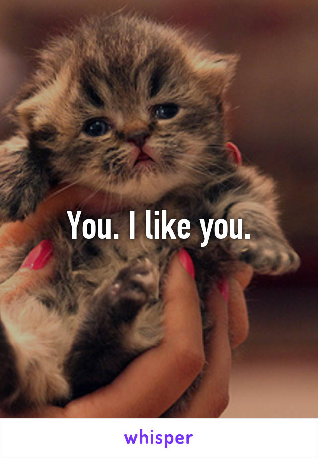 You. I like you.