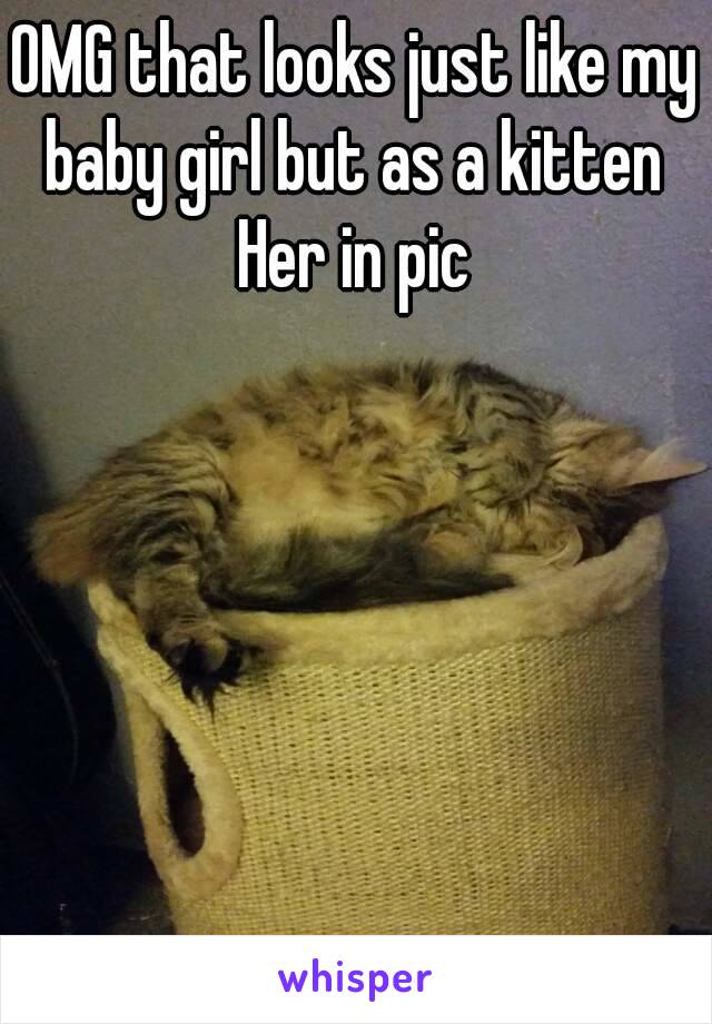 OMG that looks just like my baby girl but as a kitten 
Her in pic
