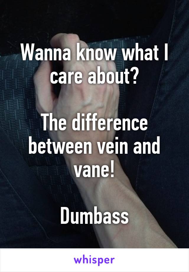 Wanna know what I care about?

The difference between vein and vane!

Dumbass