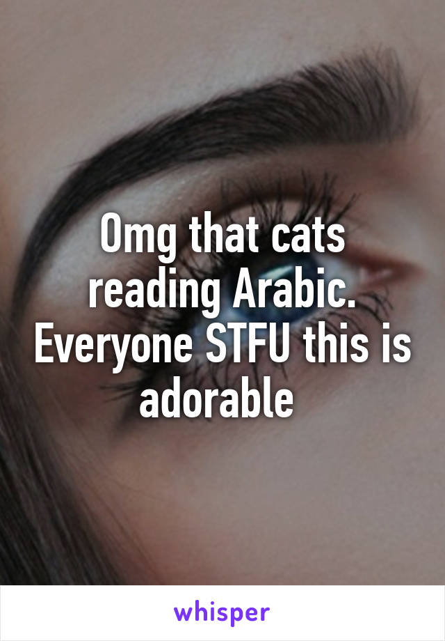 Omg that cats reading Arabic. Everyone STFU this is adorable 