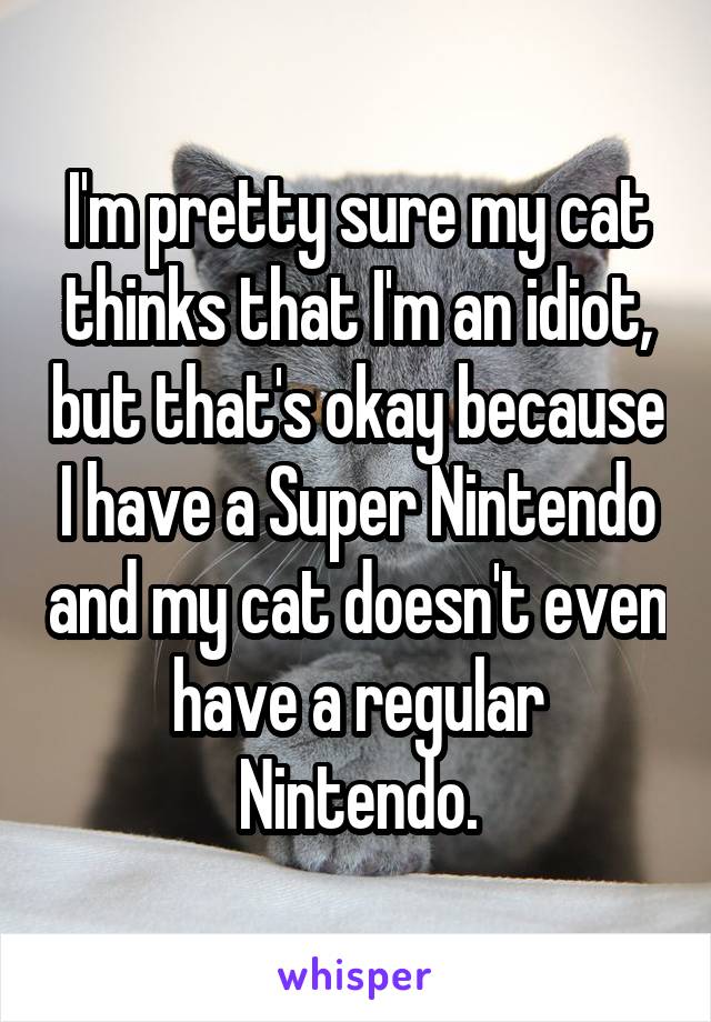 I'm pretty sure my cat thinks that I'm an idiot, but that's okay because I have a Super Nintendo and my cat doesn't even have a regular Nintendo.