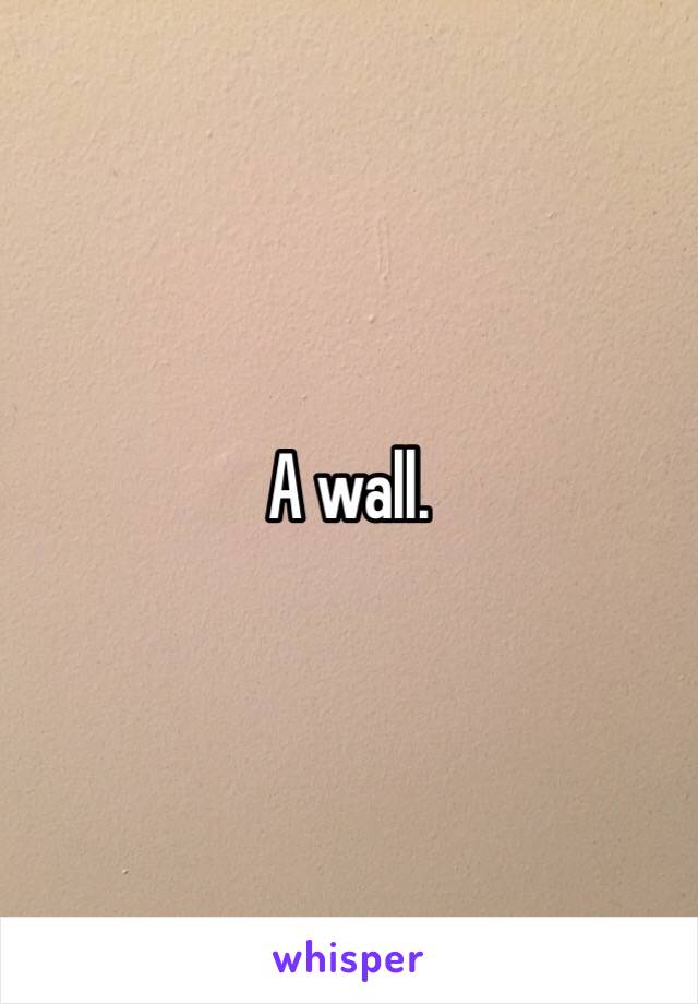 A wall. 