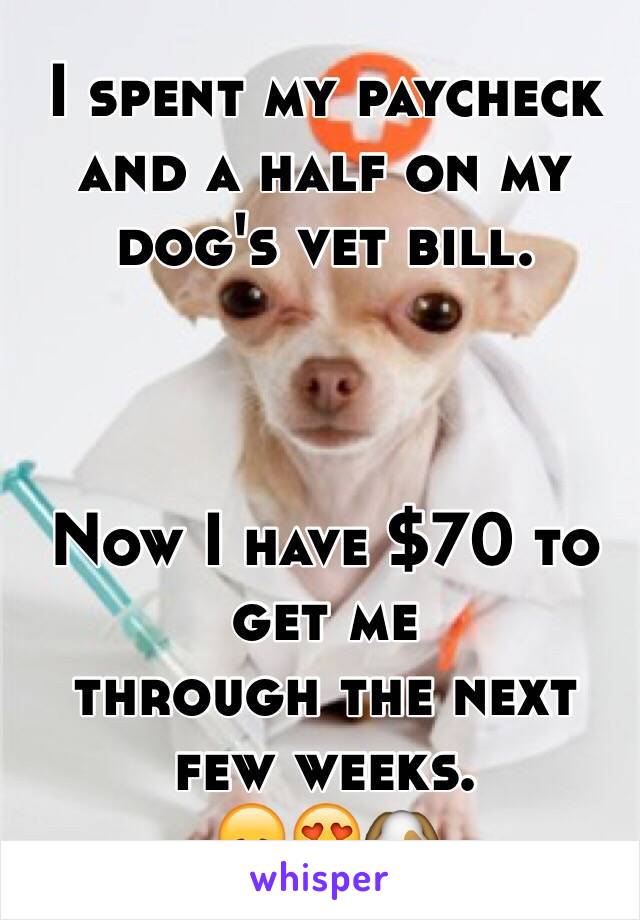 I spent my paycheck and a half on my dog's vet bill.



Now I have $70 to get me 
through the next few weeks.
😞😍🐶