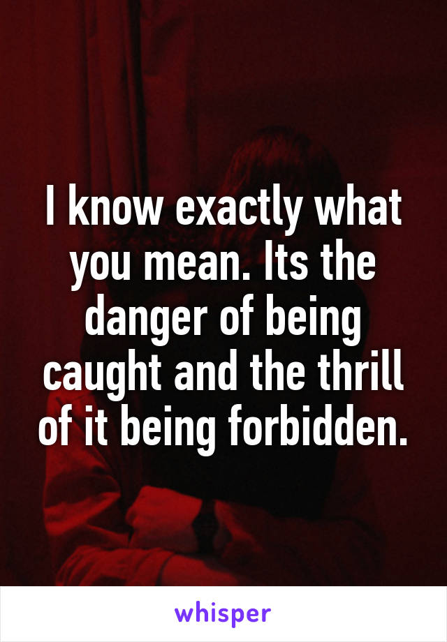 I know exactly what you mean. Its the danger of being caught and the thrill of it being forbidden.