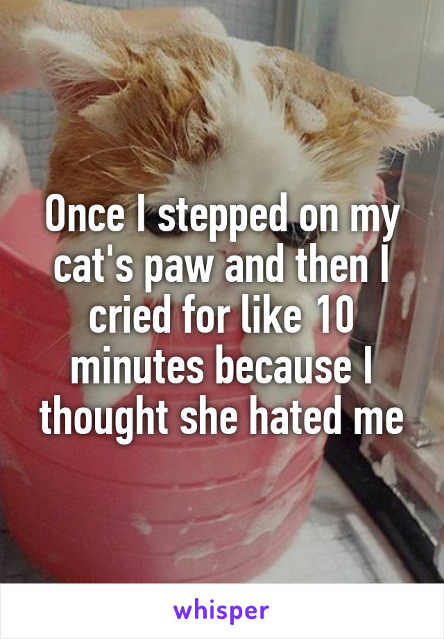 Once I stepped on my cat's paw and then I cried for like 10 minutes because I thought she hated me