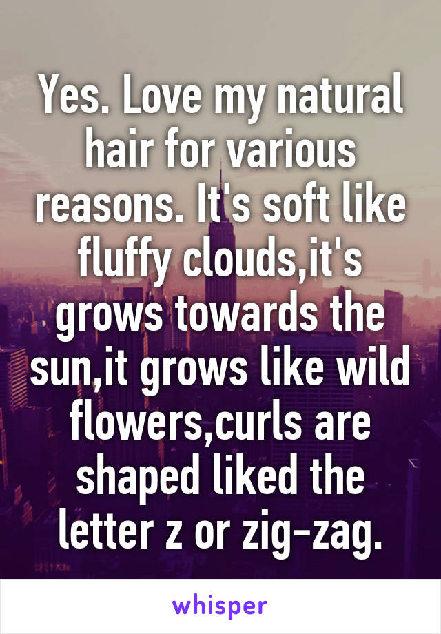 Yes. Love my natural hair for various reasons. It's soft like fluffy clouds,it's grows towards the sun,it grows like wild flowers,curls are shaped liked the letter z or zig-zag.