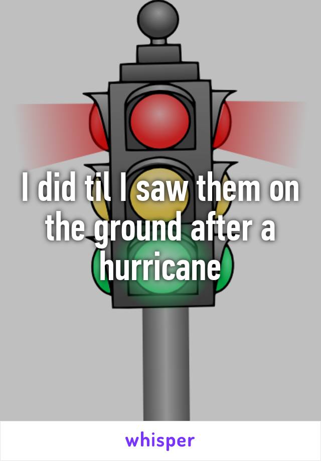 I did til I saw them on the ground after a hurricane