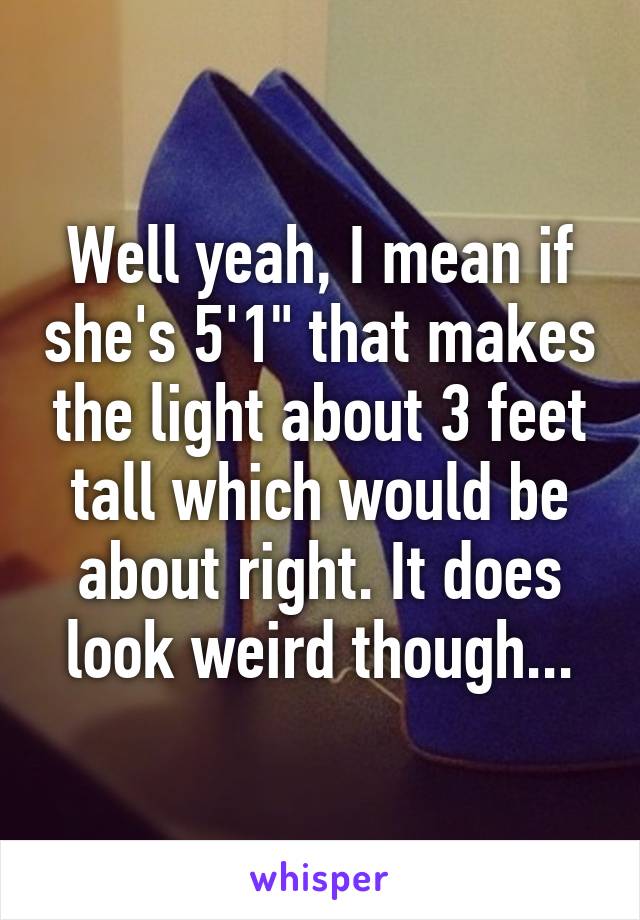 Well yeah, I mean if she's 5'1" that makes the light about 3 feet tall which would be about right. It does look weird though...
