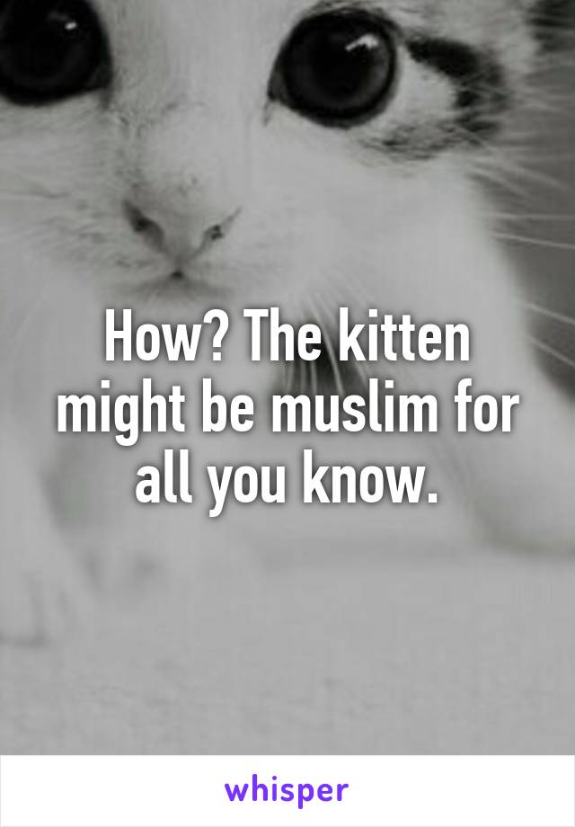 How? The kitten might be muslim for all you know.