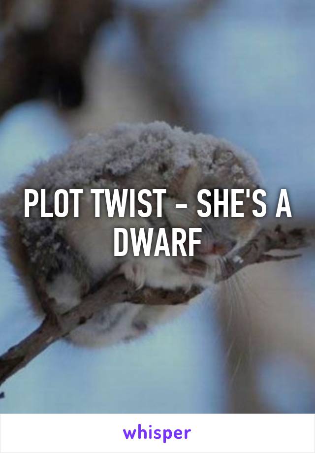 PLOT TWIST - SHE'S A DWARF