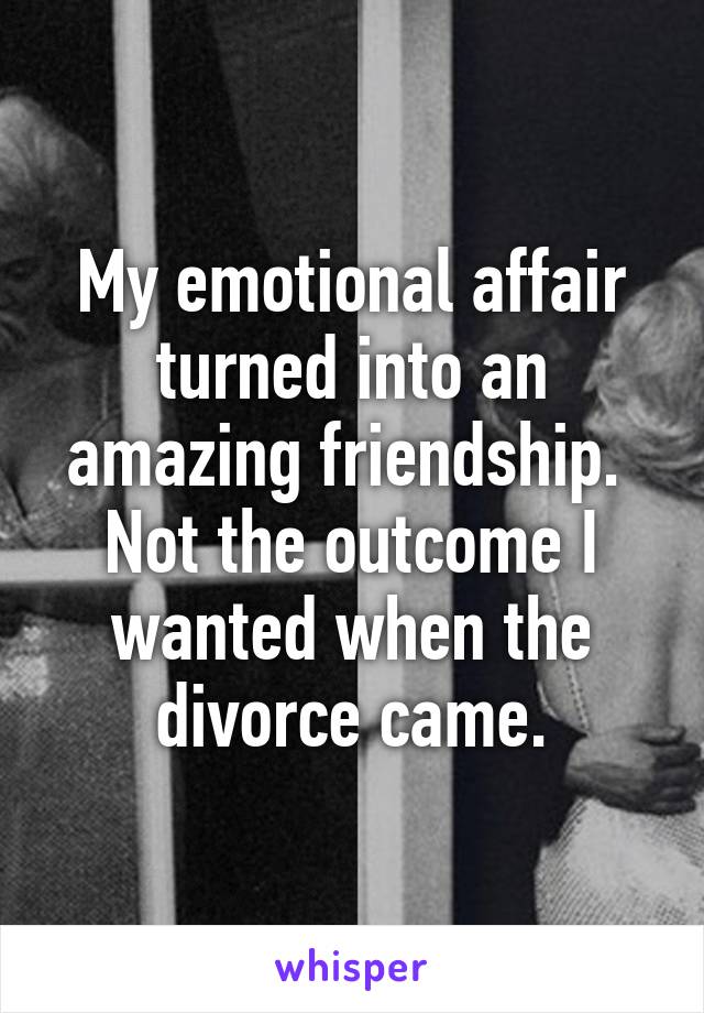 My emotional affair turned into an amazing friendship.  Not the outcome I wanted when the divorce came.