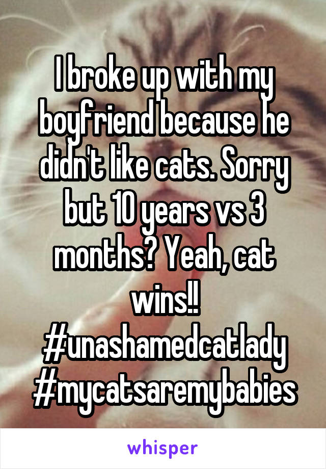 I broke up with my boyfriend because he didn't like cats. Sorry but 10 years vs 3 months? Yeah, cat wins!!
#unashamedcatlady
#mycatsaremybabies