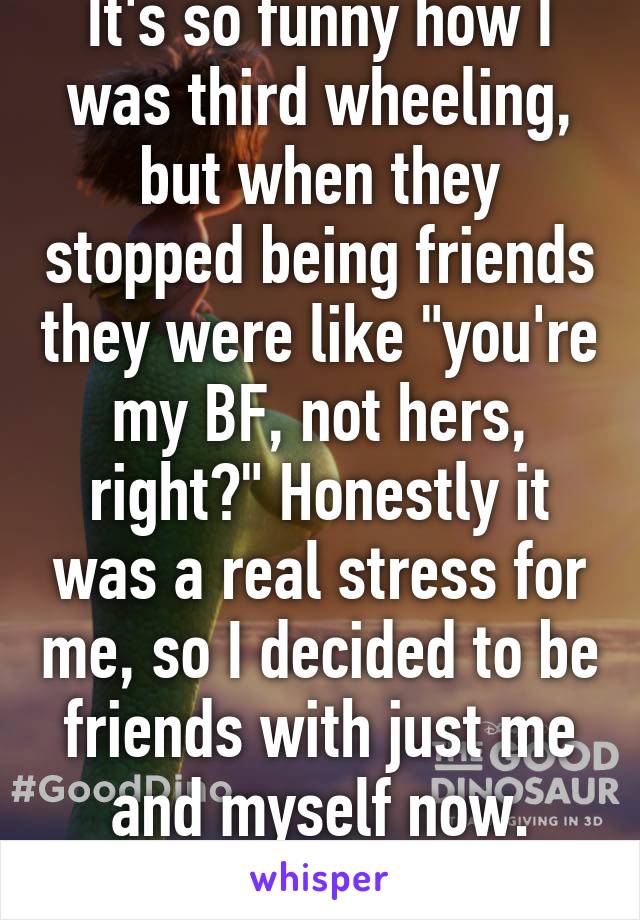 It's so funny how I was third wheeling, but when they stopped being friends they were like "you're my BF, not hers, right?" Honestly it was a real stress for me, so I decided to be friends with just me and myself now. We're good