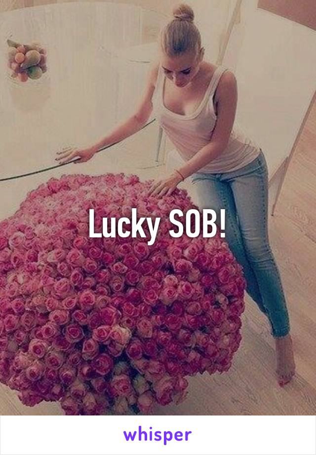 Lucky SOB!