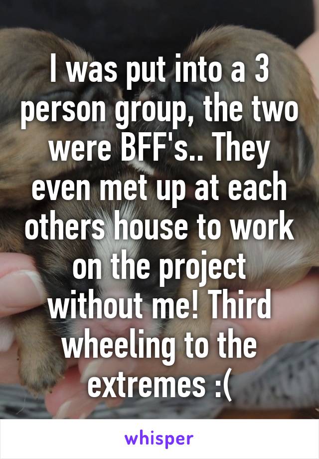 I was put into a 3 person group, the two were BFF's.. They even met up at each others house to work on the project without me! Third wheeling to the extremes :(