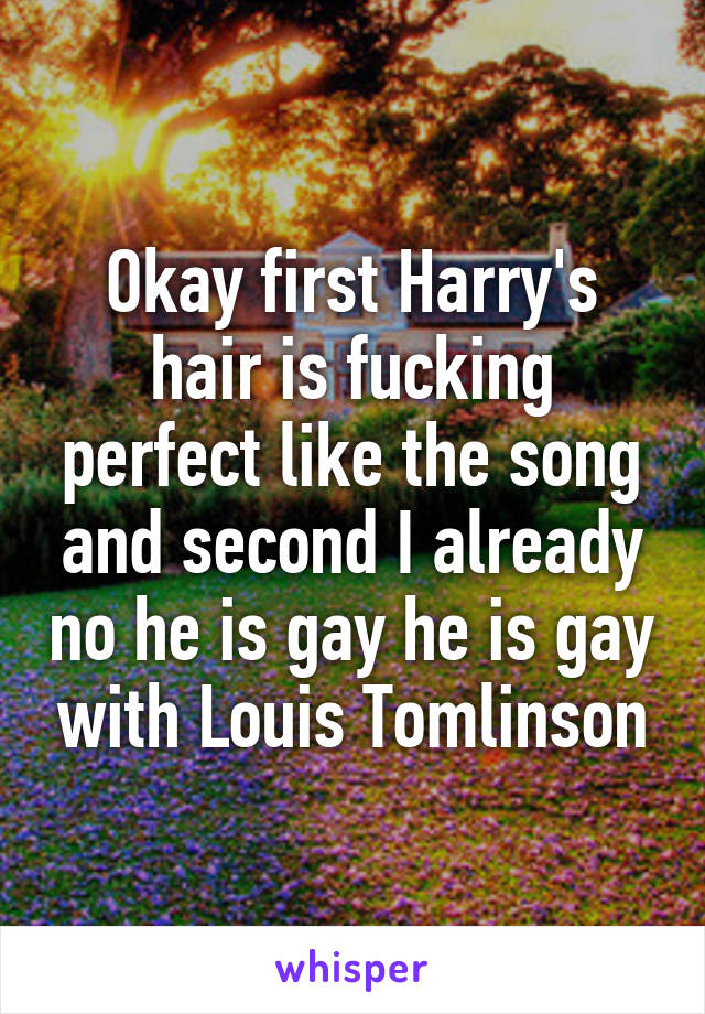 Okay first Harry's hair is fucking perfect like the song and second I already no he is gay he is gay with Louis Tomlinson