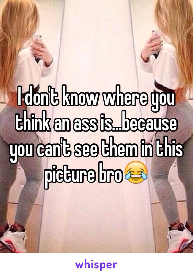 I don't know where you think an ass is...because you can't see them in this picture bro😂