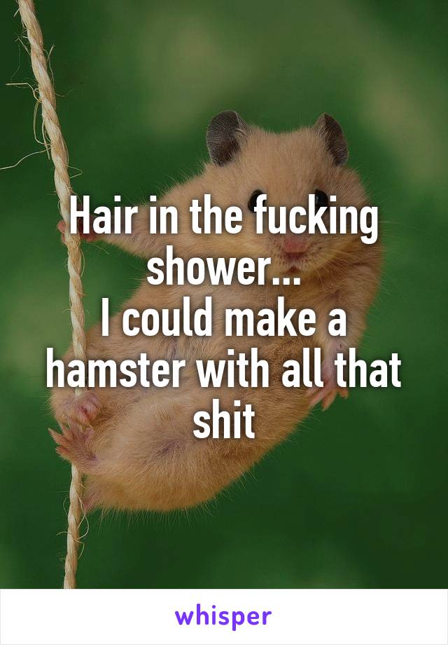 Hair in the fucking shower...
I could make a hamster with all that shit