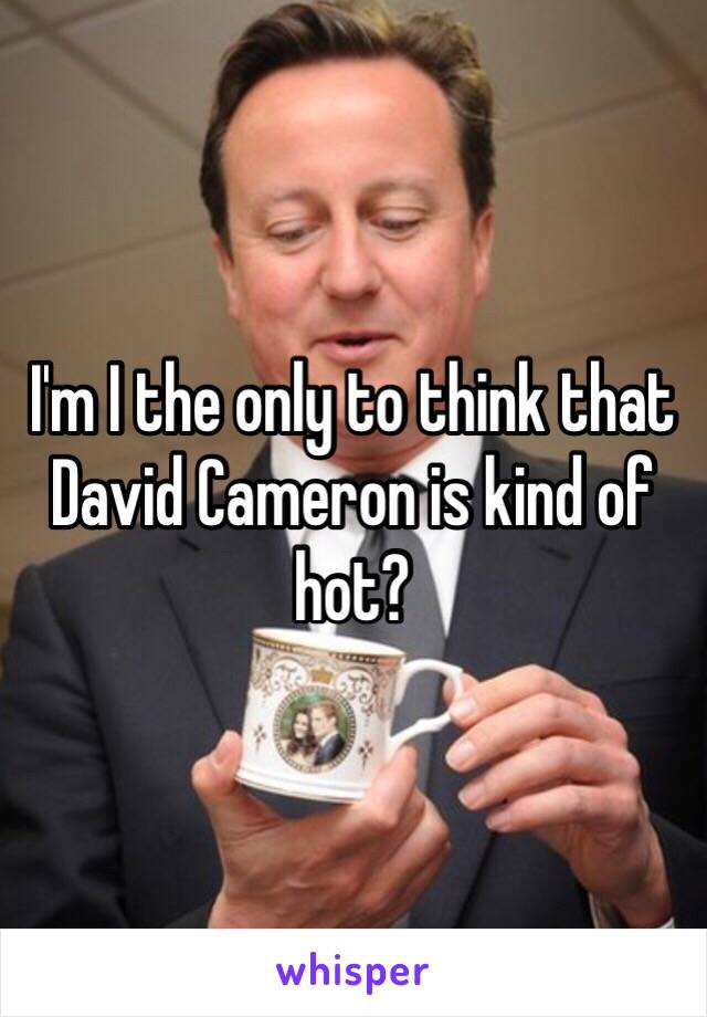 I'm I the only to think that David Cameron is kind of hot? 