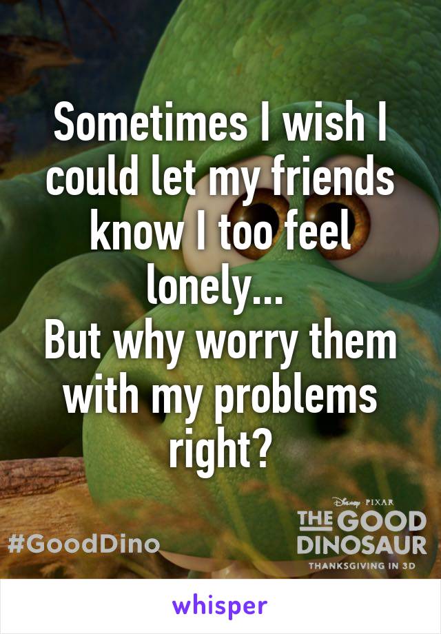 Sometimes I wish I could let my friends know I too feel lonely... 
But why worry them with my problems right?
