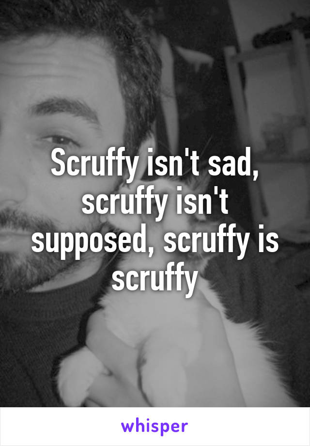 Scruffy isn't sad, scruffy isn't supposed, scruffy is scruffy