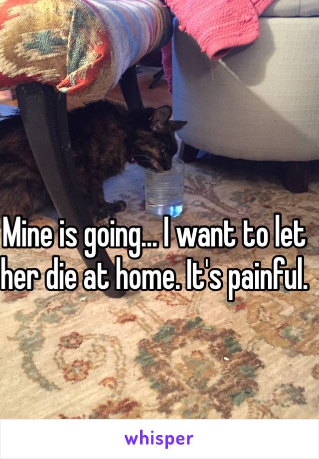Mine is going... I want to let her die at home. It's painful. 