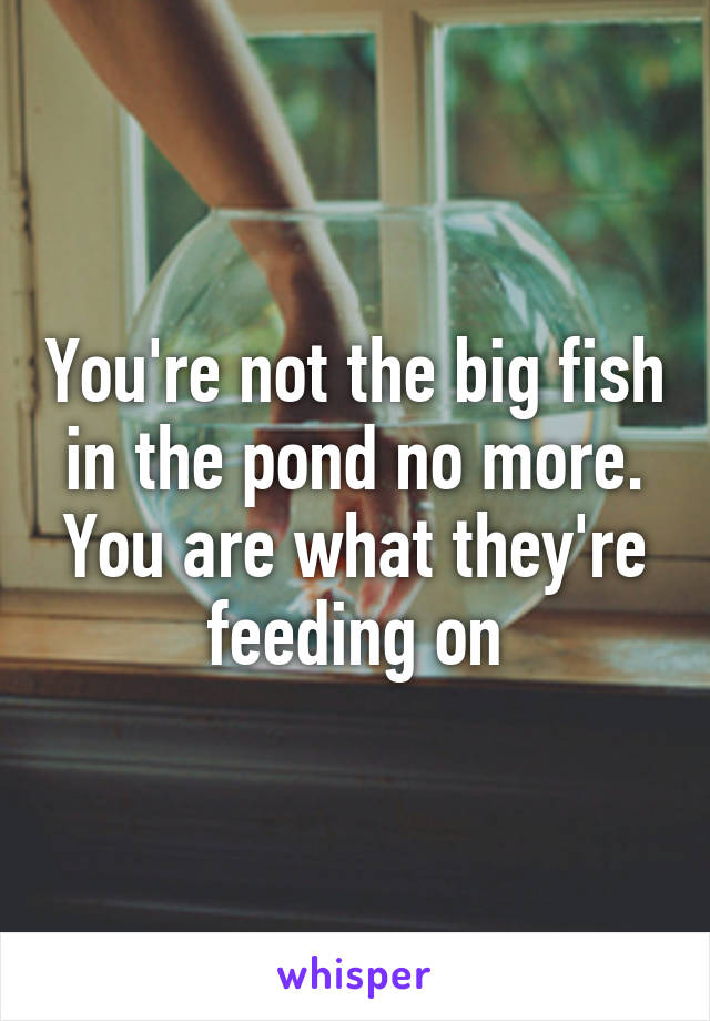 You're not the big fish in the pond no more. You are what they're feeding on