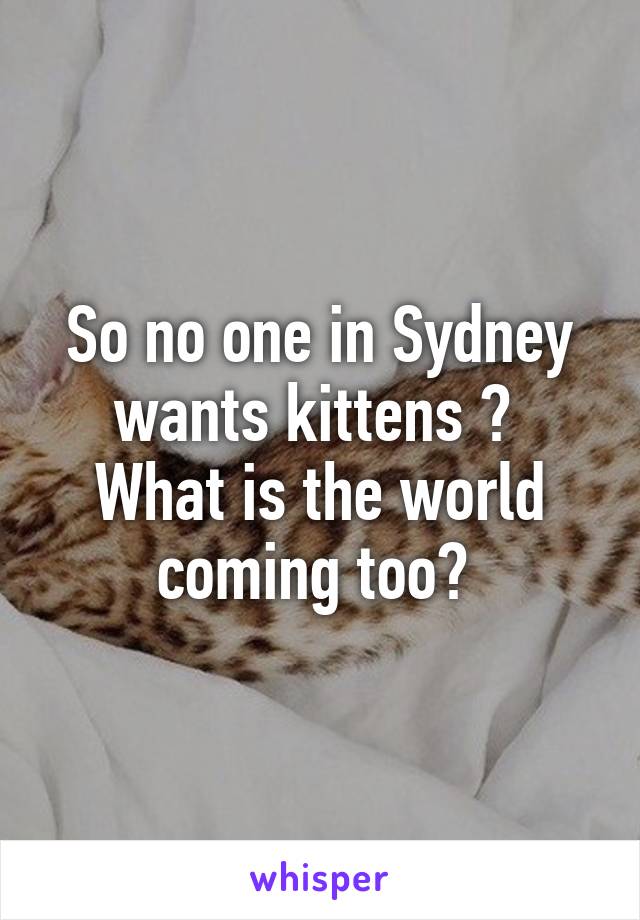 So no one in Sydney wants kittens ? 
What is the world coming too? 